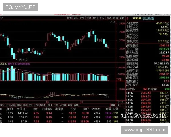 北京11选五开奖最新结果查询与号码走势分析 北京11选五开奖最新结果查询与号码走势分析